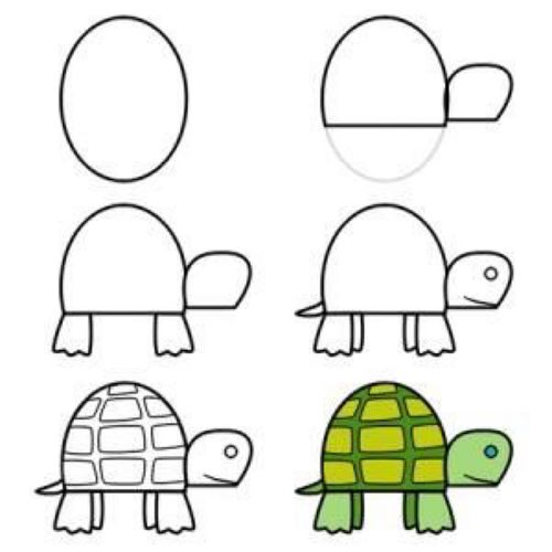 海龟图片简笔画 海龟图片简笔画涂色