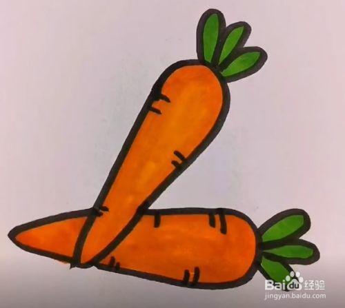 红萝卜简笔画 大白菜和红萝卜简笔画