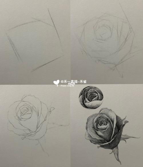 素描玫瑰花的画 素描玫瑰花的画法步骤图片