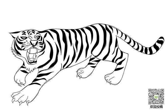 老虎的画怎么画 怎么画老虎简单画法