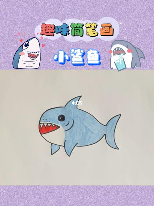 小鲨鱼简笔画q版