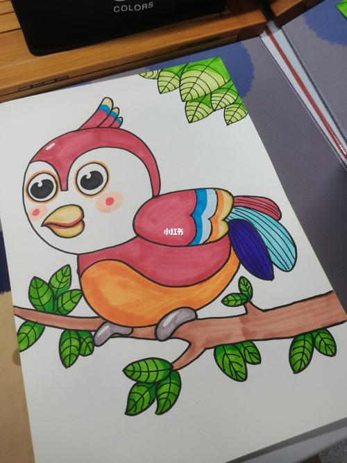 5一6年级画小鸟图片