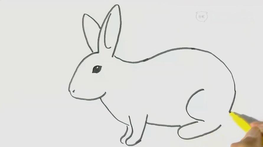 动物简笔画兔子 动物简笔画兔子简笔画