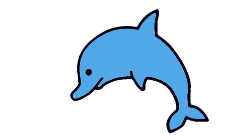 海豚怎么画才可爱 怎么画海豚