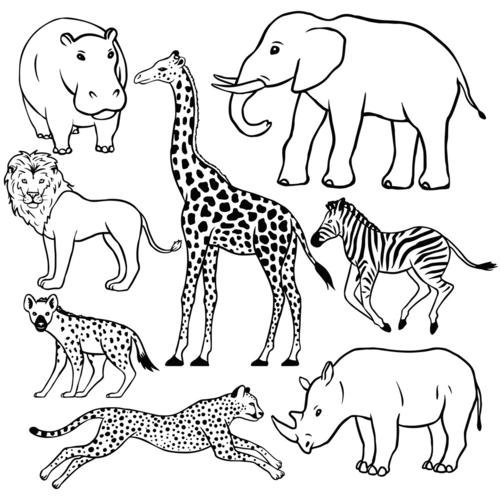 哺乳动物的简笔画