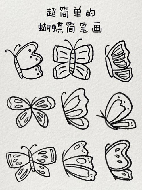 蝴蝶图片简笔画 