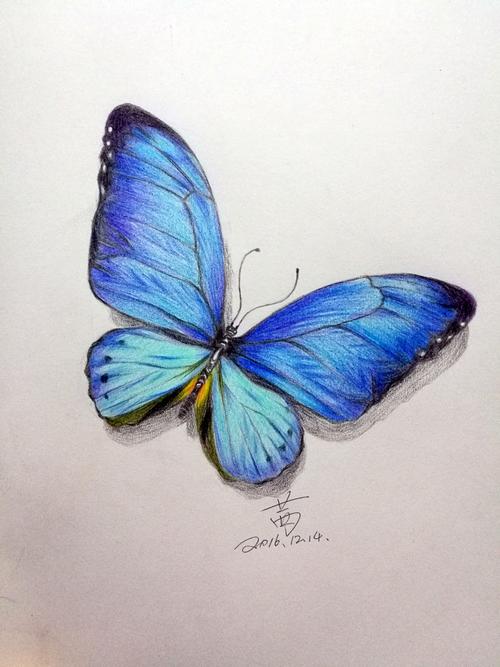 美术蝴蝶怎么画 美术蝴蝶怎么画像真的一样