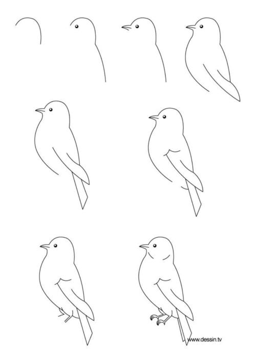 鸟简笔画简单 鸟简笔画简单又漂亮