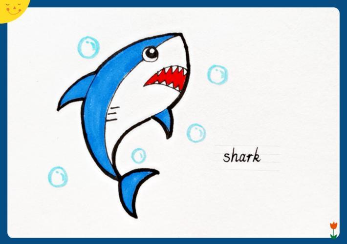 鲨鱼简笔画彩色