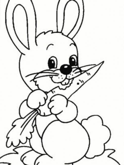 小兔子可爱简笔画