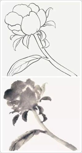 画法,花卉,牡丹牡丹花瓣画法第6课,牡丹不同姿态花头的画法