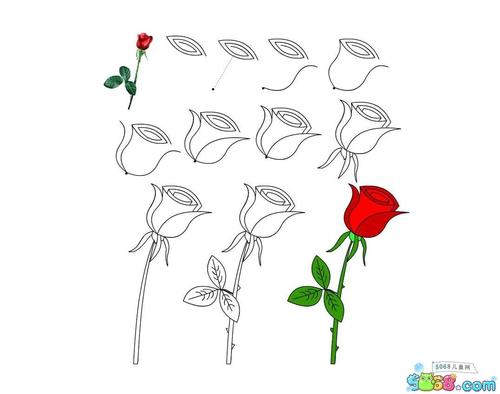 简单的玫瑰花怎么画 一步一步学画玫瑰花