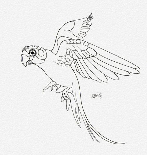 鹦鹉画法简笔画