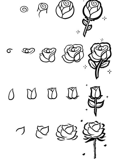 一步一步学画玫瑰花图片