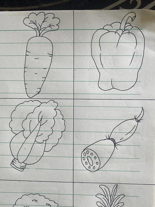 蔬菜简笔画简单