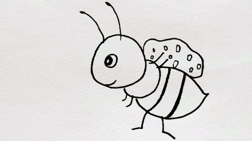 怎么画蚂蚁 怎么画蚂蚁的简笔画
