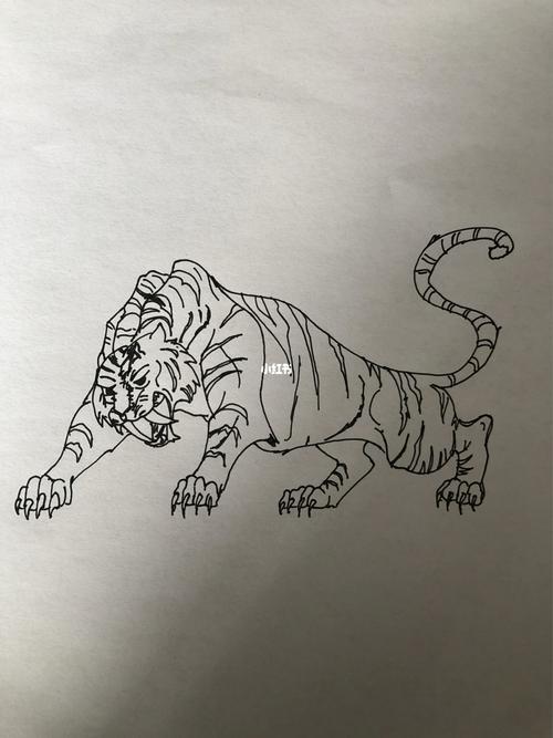 老虎的画画 老虎的画画作品