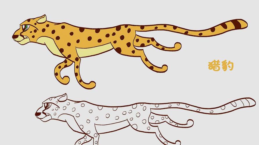 猎豹的简笔画 猎豹的简笔画怎么画