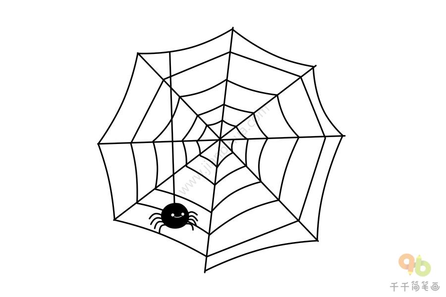 蜘蛛网简笔画 