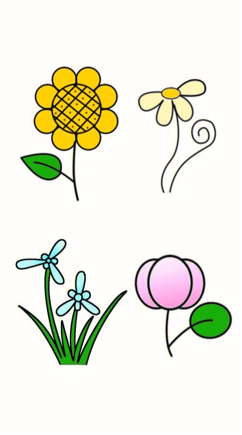 花朵简笔画卡通图片
