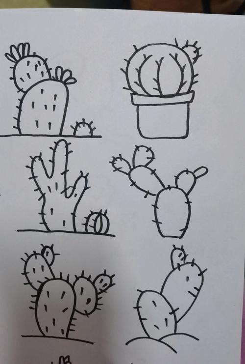 关于植物的简笔画