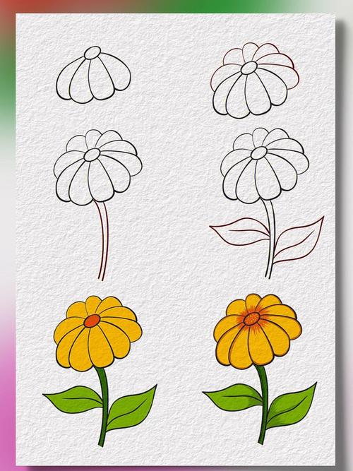 花朵的图片简笔画 花朵的图片简笔画带颜色的