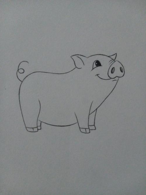 小动物怎么画简笔画