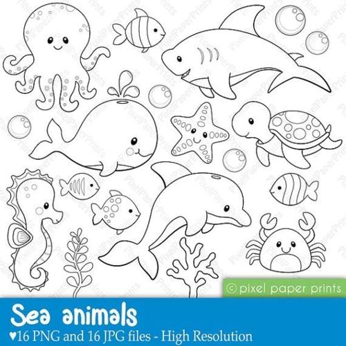 大型海洋动物简笔画图片