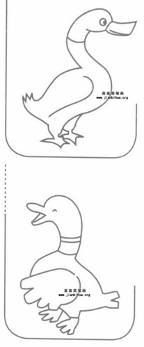 鸭子怎么画简笔画步骤图片