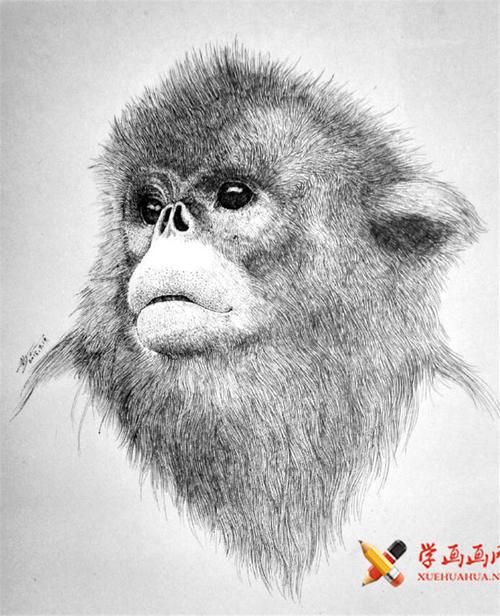 铅笔画动物素描 古装图片
