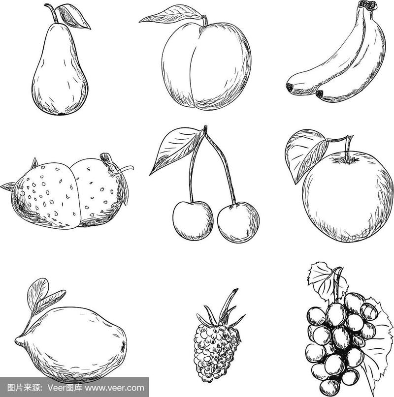 素描画水果 素描画水果图片