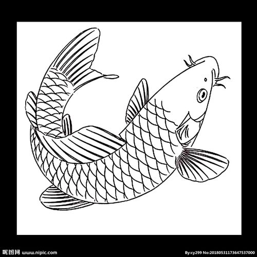鱼的画法 鱼的画法简笔画图片 鱼的画法简单又漂亮
