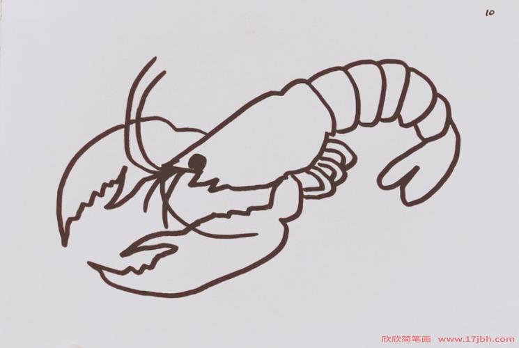 大虾简笔画 油焖大虾简笔画