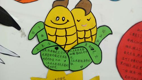 玉米手抄报图片