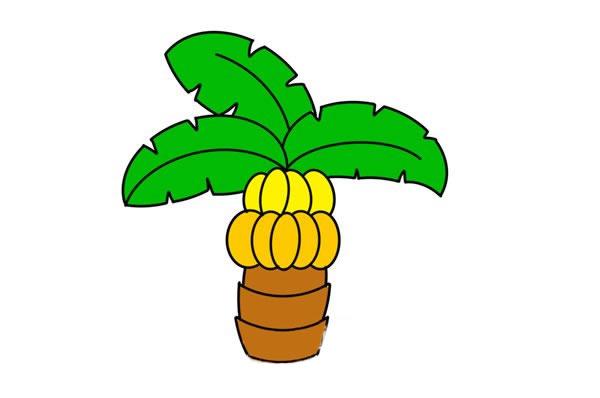 香蕉树简笔画 香蕉树简笔画图片彩色