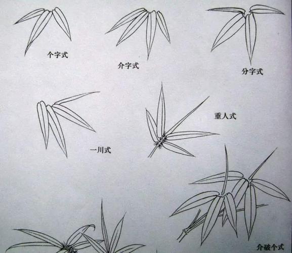 竹子的画法小枝图片