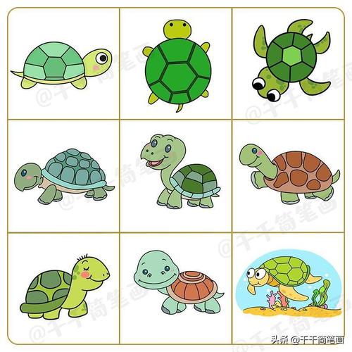 海龟简笔画 海龟简笔画带颜色