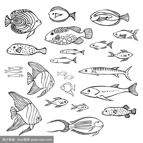 海洋鱼类简笔画