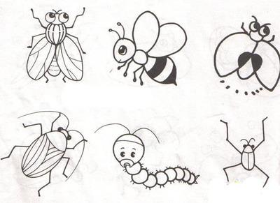 昆虫世界简笔画 昆虫世界简笔画作品