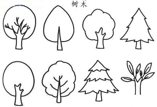 各种各样的树简笔画