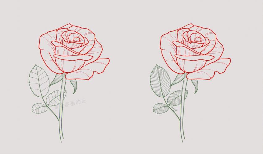 画玫瑰花的简笔画 指甲画玫瑰花的简笔画