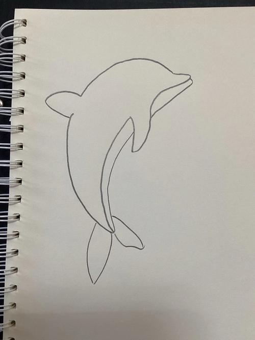 画海豚的简笔画图片