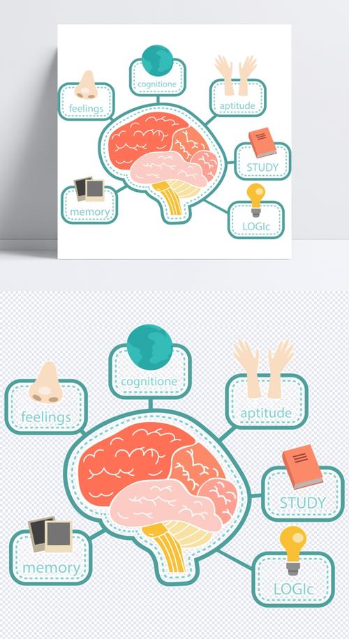 大脑的思维导图 大脑的思维导图怎么画