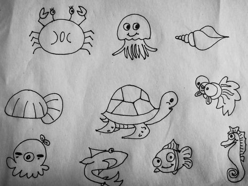 海里动物简笔画