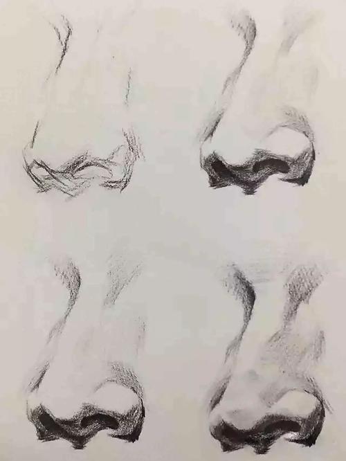 素描鼻子的画法步骤图 素描人物鼻子画法步骤