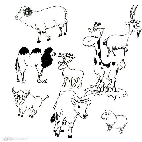 牛马羊绘画图片大全图片