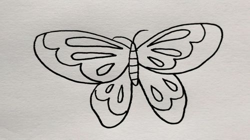 画蝴蝶又简单又漂亮 画蝴蝶又简单又漂亮涂色