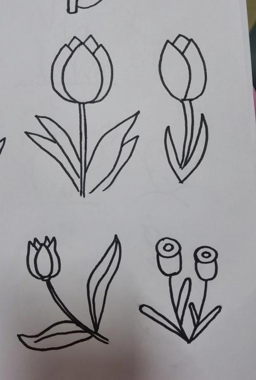 植物的简笔画怎么画简单又漂亮