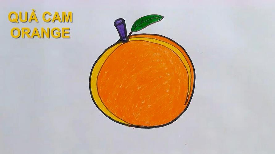 怎么画橘子 怎么画橘子简笔画