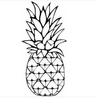 菠萝的简笔画怎么画